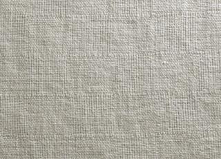 Фото - Ткани De Le Cuona Rugged Elegance - 259858>