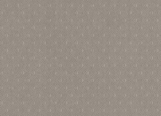 Фото - Обои Collins & Company Panache - 192994>