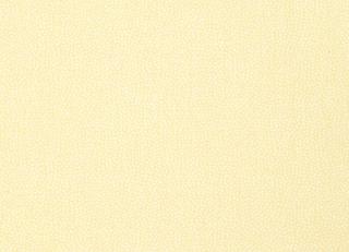 Фото - Обои Thibaut Paramount - 425166>