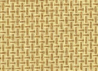 Фото - Однотонные обои на стену салатового цвета - 466729>