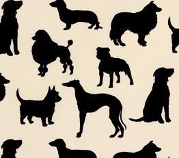 Фото - Черно-белые обои - 217090>