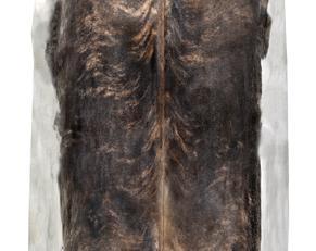 Фото - Ковры на пол Mineheart - 356279>