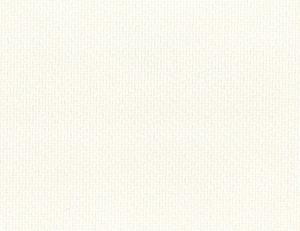 Фото - Ткани Pepe Penalver Nikko - 624449>