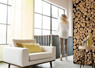 Фото - Ткани Chivasso Living - 300289>