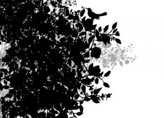 Фото - Обои Mr Perswall Urban Nature - 235247>