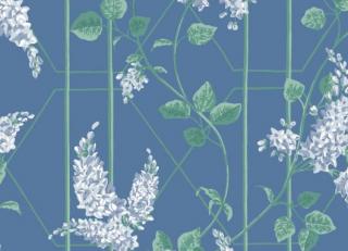 Фото - Обои Cole & Son Botanical Botanica - 400027>