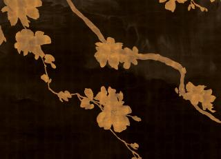 Фото - Обои Phillip Jeffries Haiku&Sakka - 519868>