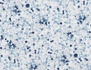 Фото - Ткани Studio G Palmero - 512956>