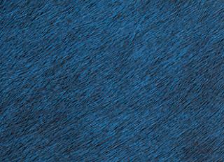 Фото - Обои Elitis Indomptee - 377189>