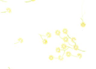 Фото - Ткани Malabar Misha - 368147>