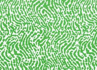 Фото - Ткани Thibaut Summer House - 529737>