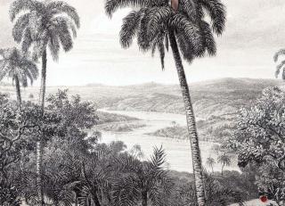 Фото - Обои Emil&Hugo Zanzibar - 573345>