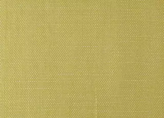 Фото - Ткани Pierre Frey Shabby - 630182>