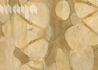 Фото - Обои Maya Romanoff River Bed ll - 394946>