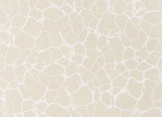 Фото - Обои Thibaut Surface Resource - 379264>