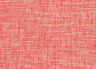 Фото - Ткани Thibaut Festival - 526565>