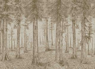 Фото - Обои Pierre Frey The Cult of Beauty - 537688>