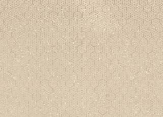 Фото - Обои Vatos Courtesan - 243121>