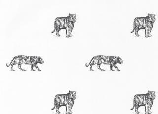 Фото - Обои Caselio Our Planet - 523117>