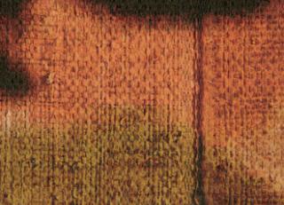 Фото - Обои Elitis Volver - 509150>