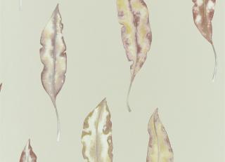 Фото - Обои Harlequin Anthozoa - 342820>