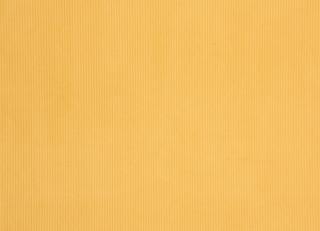 Фото - Обои Caselio Seasons - 231471>