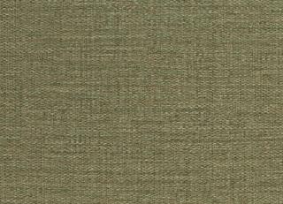 Фото - Обои Sirpi Forest - 454602>