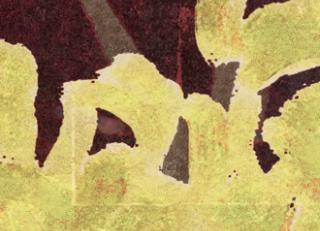 Фото - Обои Elitis Soleil levant - 469493>