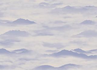 Фото - Обои Loymina Clair - 395582>