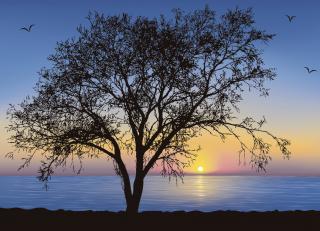 Фото - Обои Photowall Природа - 298760>