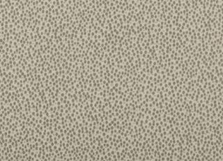 Фото - Ткани Clarke&Clarke Cesare - 295903>