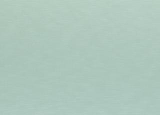 Фото - Ткани Clarke&Clarke Java - 403697>