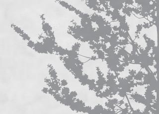 Фото - Обои Wall&Deco CODE 2013 OUT SYSTEM - 463644>