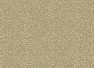 Фото - Обои Carey Lind Rhytm&Hues - 240580>