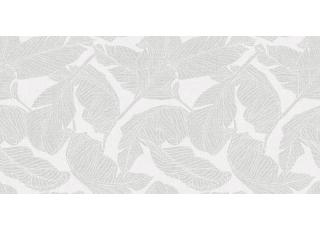 Фото - Обои Shinhan Ikon - 459588>