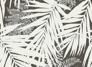 Фото - Обои Carl Robinson Edition 12 - 253042>