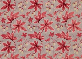 Фото - Ткани Colefax and Fowler Lindon - 436810>