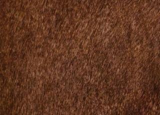 Фото - Аксессуары Pavoni Кожа Vitellina Pelo - 589032>