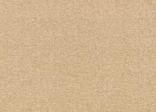 Фото - Ткани Kirkby design Graphic Nature - 606820>