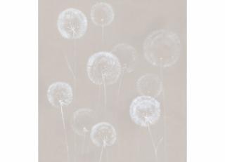 Фото - Обои Fresq F.N.01 - 328639>