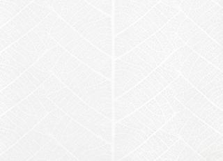 Фото - Обои Sandudd Rolleri 7 - 422411>