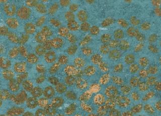 Фото - Обои Elitis Soleil levant - 469509>