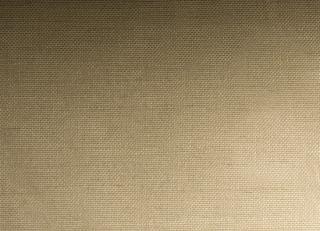 Фото - Ткани Maria Flora Ottocento - 318450>