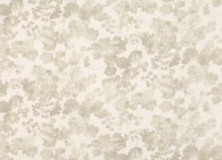 Фото - Ткани Romo Danton - 456865>