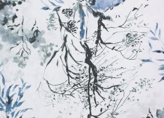 Фото - Обои Designers Guild Shanghai Garden - 250648>