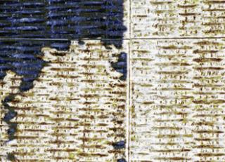 Фото - Обои Elitis Natural mood - 469443>