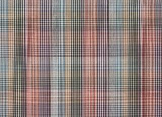 Фото - Ткани Prestigious Textiles Pizzazz - 445857>