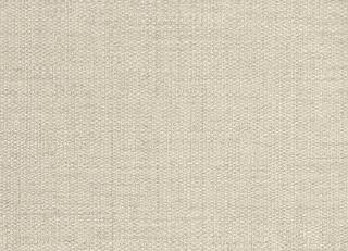 Фото - Обои Sirpi Forest - 454588>