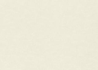 Фото - Обои Rasch Textil Wall Textures XL 3 - 629776>