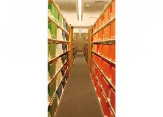 Фото - Обои Koziel Perspectives (Velvet) - 324167>